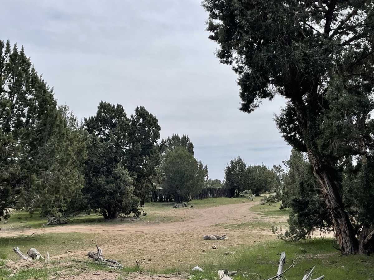 Cove Wash To Magotsu Creek photo 2
