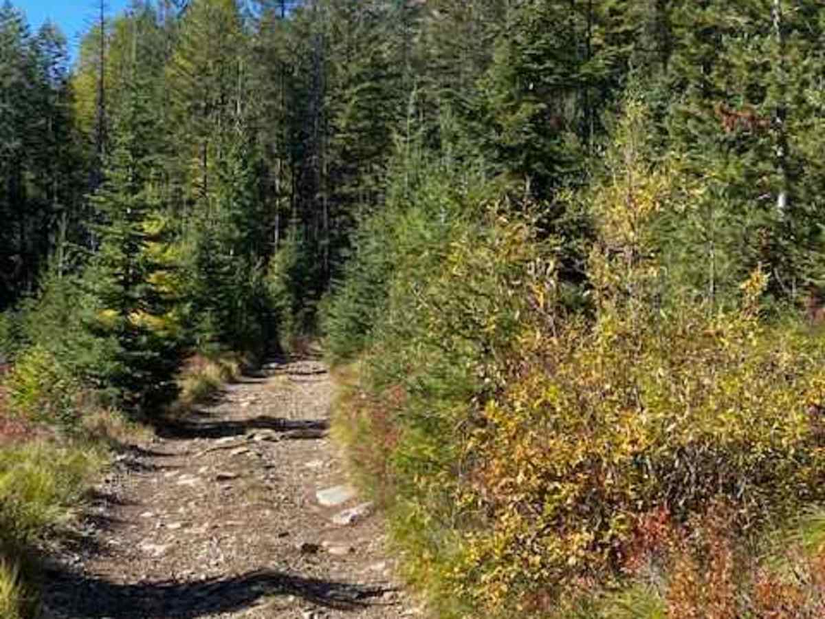 Gloria Mine Trail photo 3