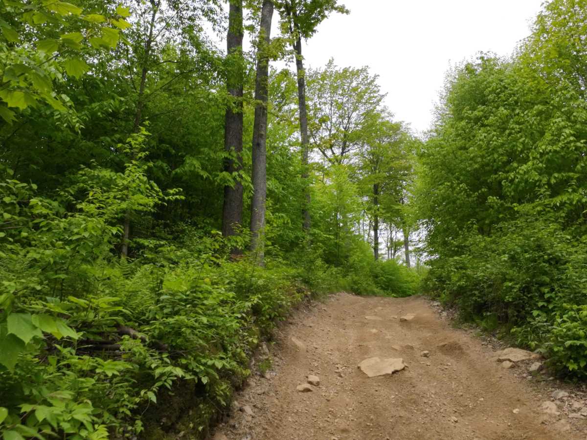 G Green G-G10 trail photo