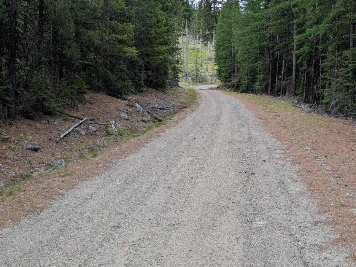 Chickadee Road photo 4