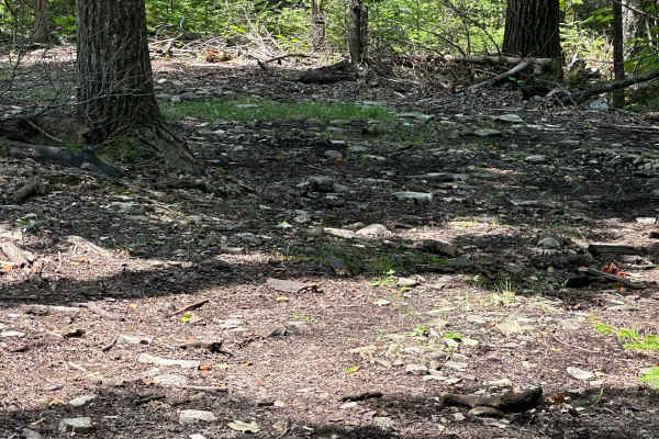 Lower Ledge 