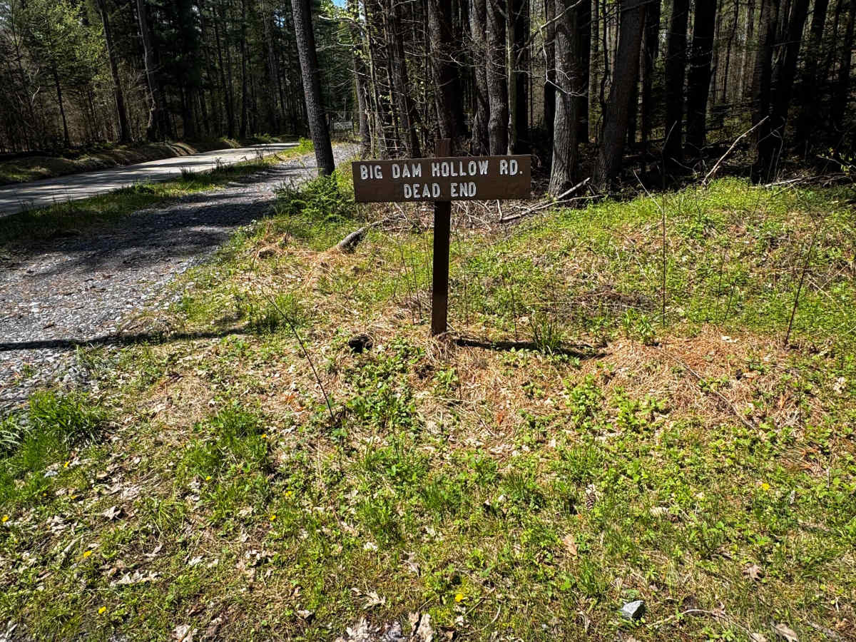 Big Dam Hollow Road trail photo