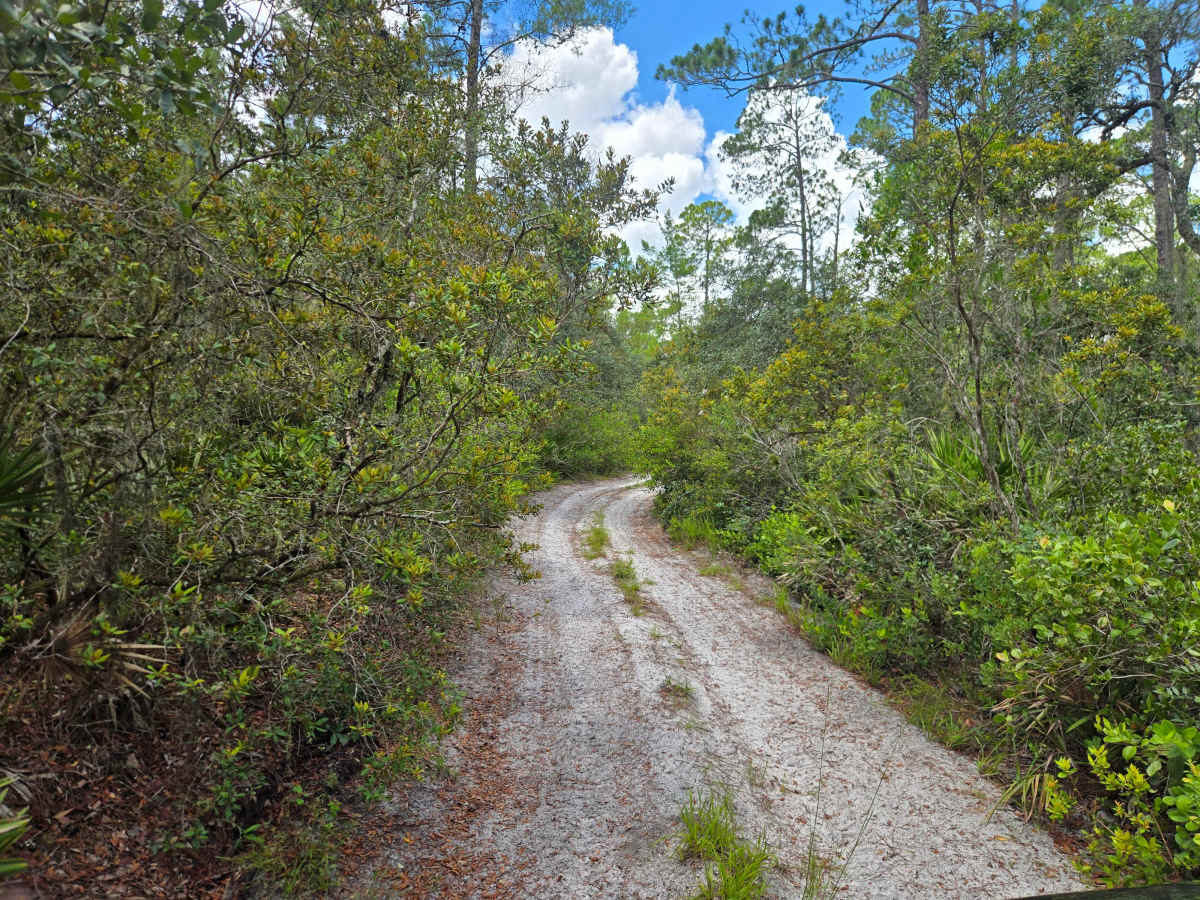Lake Charles Way photo 2