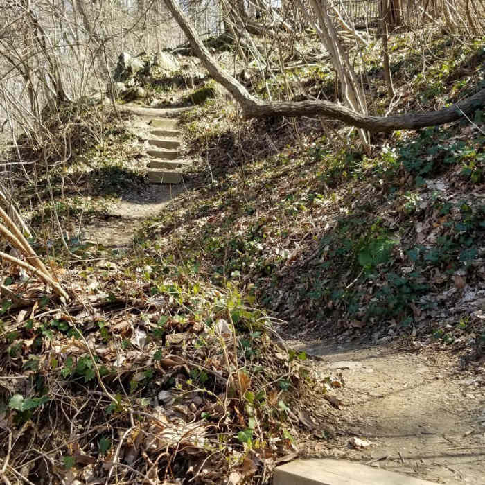 Near Reservation 630 Trail