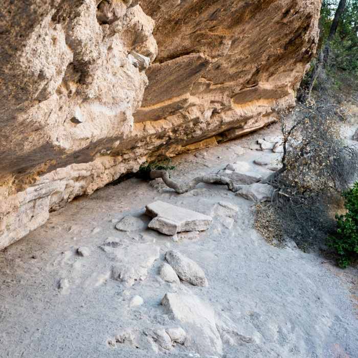 Near Moses Spring Trail Near Moses Spring Trail