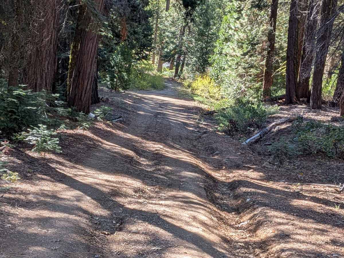 FS 5N92 trail photo
