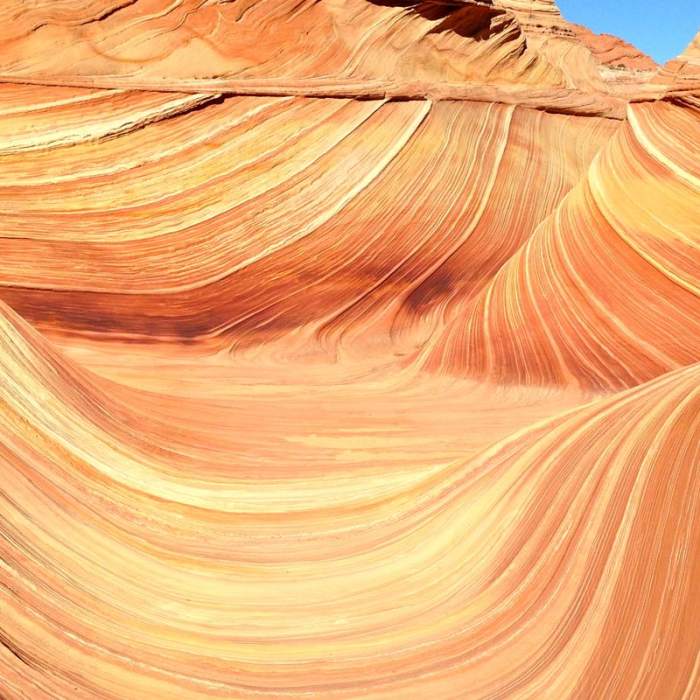 Near The Wave Near The Wave
