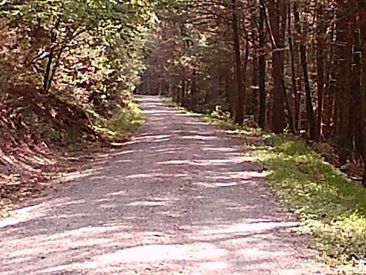 Hoofnagle Road photo 6