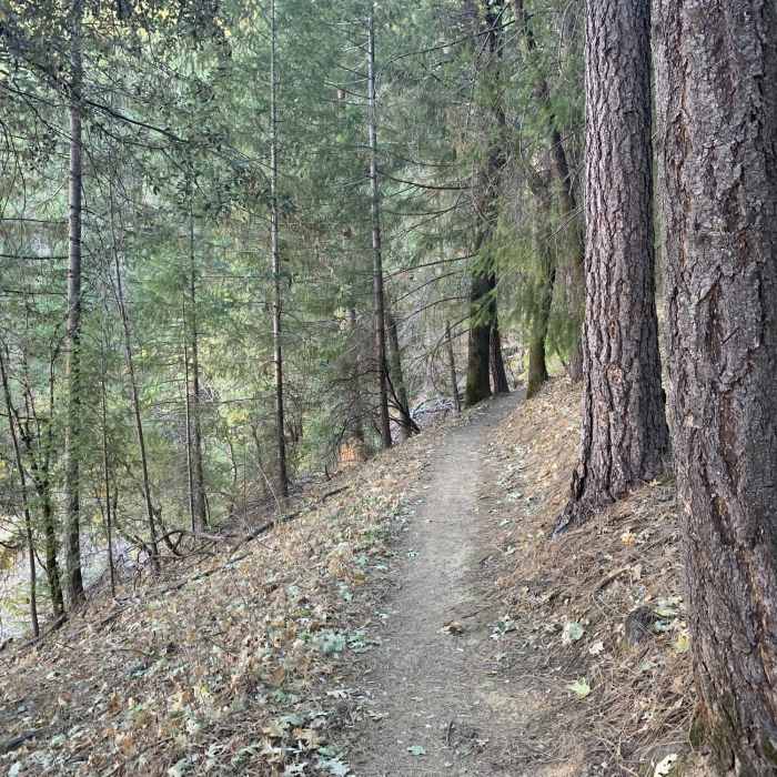 Near Bailey Cove Trail
