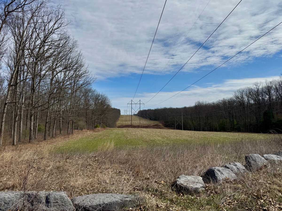 Cole Run Road photo 3