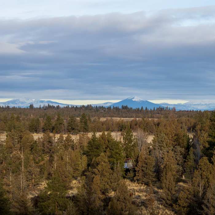 Near Archie Briggs Canyon Trail