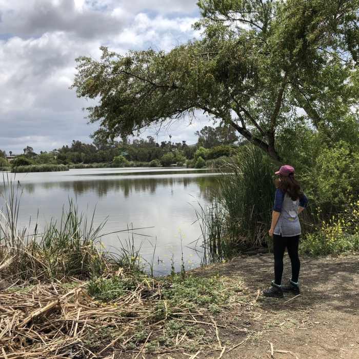 Near Guajome County Park Loop