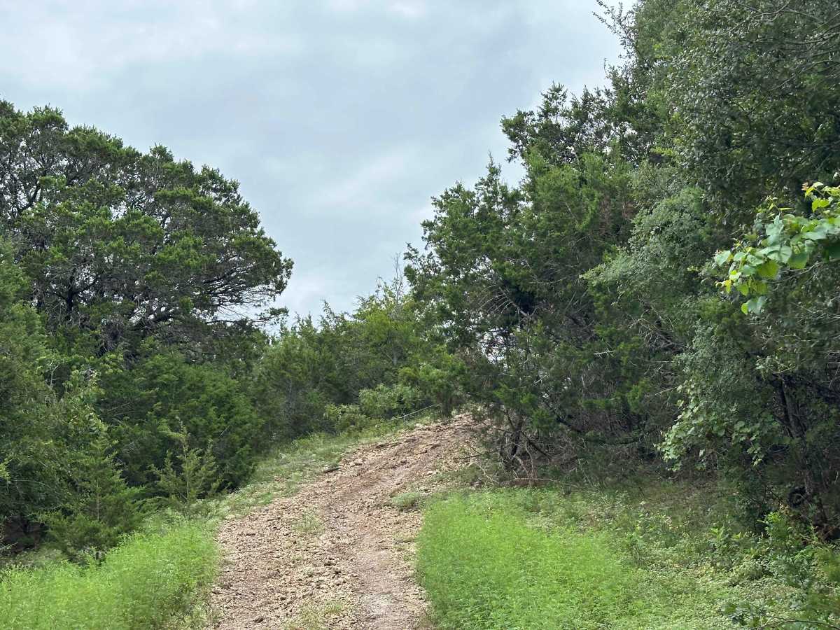 Chisholm Trail photo 4