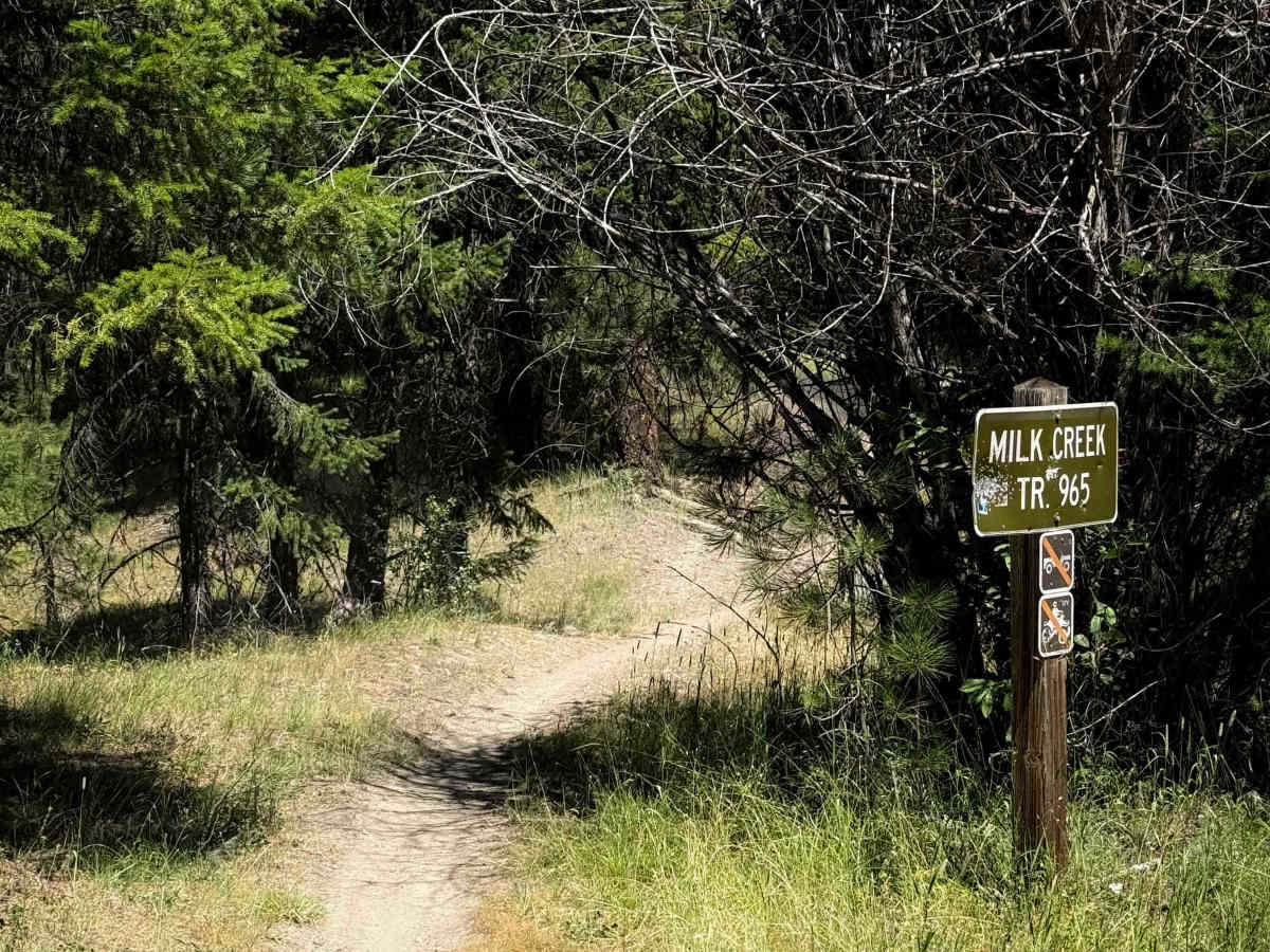 Milk Creek - FS 965  trail photo