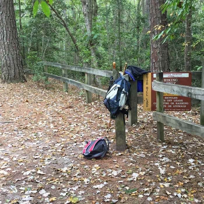 Near White Hill Lake Trail