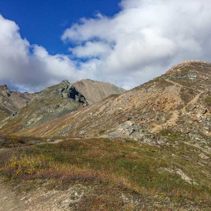 Near Denali National Park Visitor Center to Bison Gulch Hike Near Denali National Park Visitor Center to Bison Gulch Hike