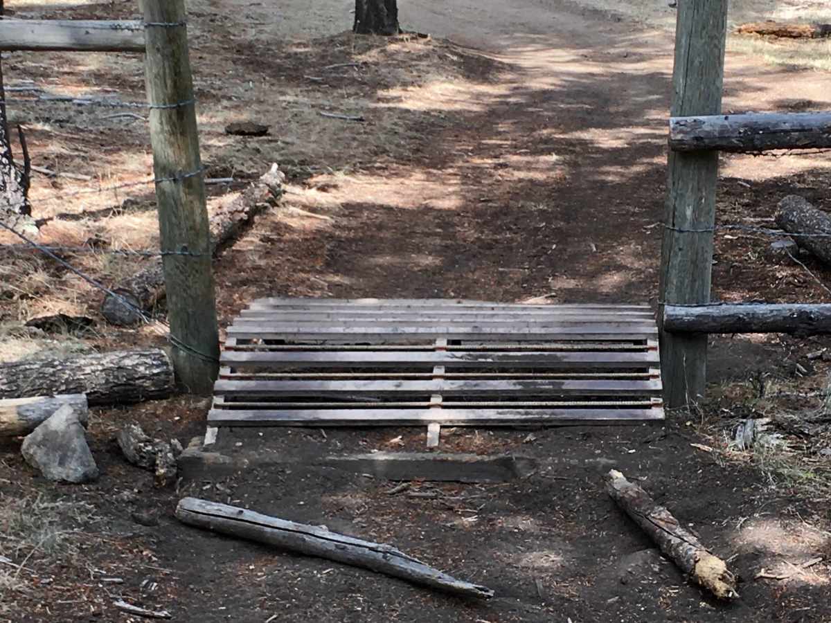 North Fork Trail photo 6