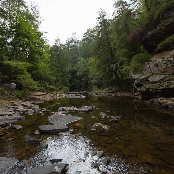 Near Gorge Overlook Trail