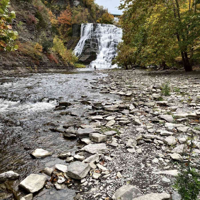 Near Ithaca Falls Trail