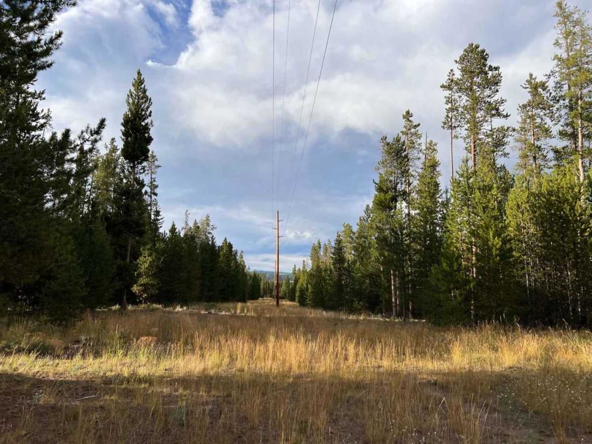 Cougar Cr Park Boundary photo 5