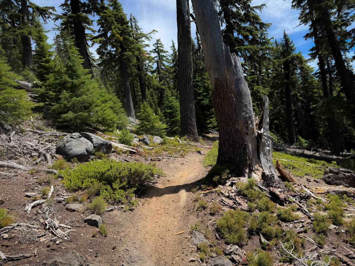 Windy Pass photo 4