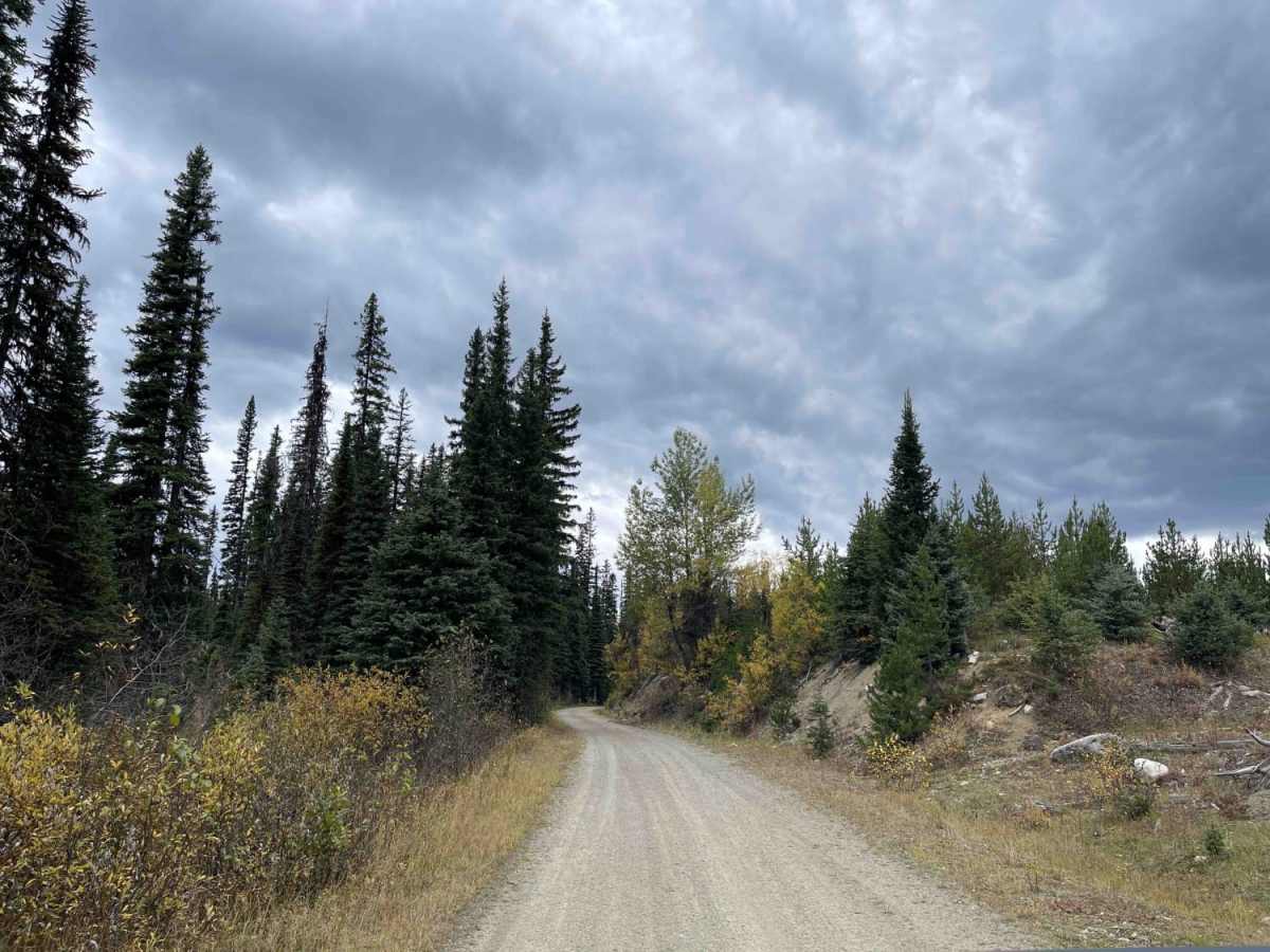 Old Monashee Highway photo 4
