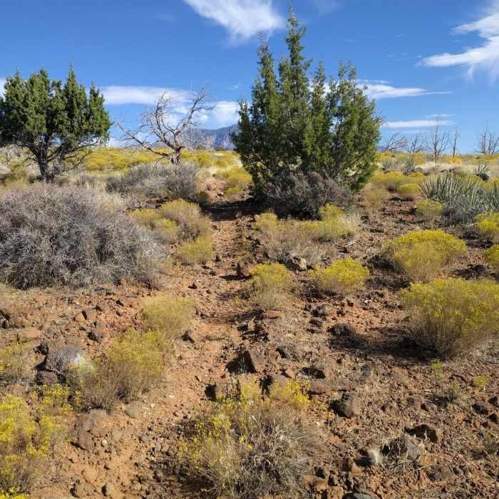 Broken Mesa Rim Trail | Hiking Trail Maps, Difficulty, Trail Status | onX