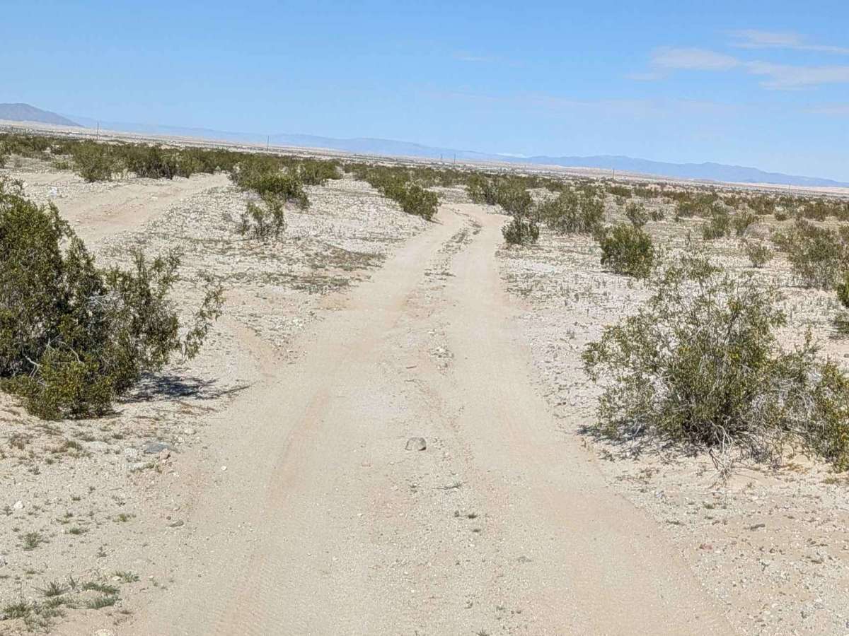 BLM 077 photo 3