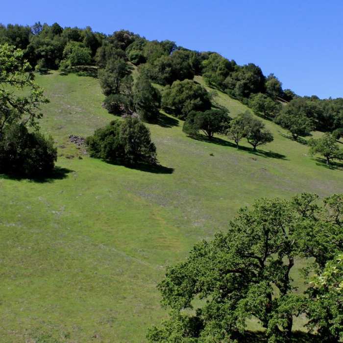 Near Olompali State Historic Park