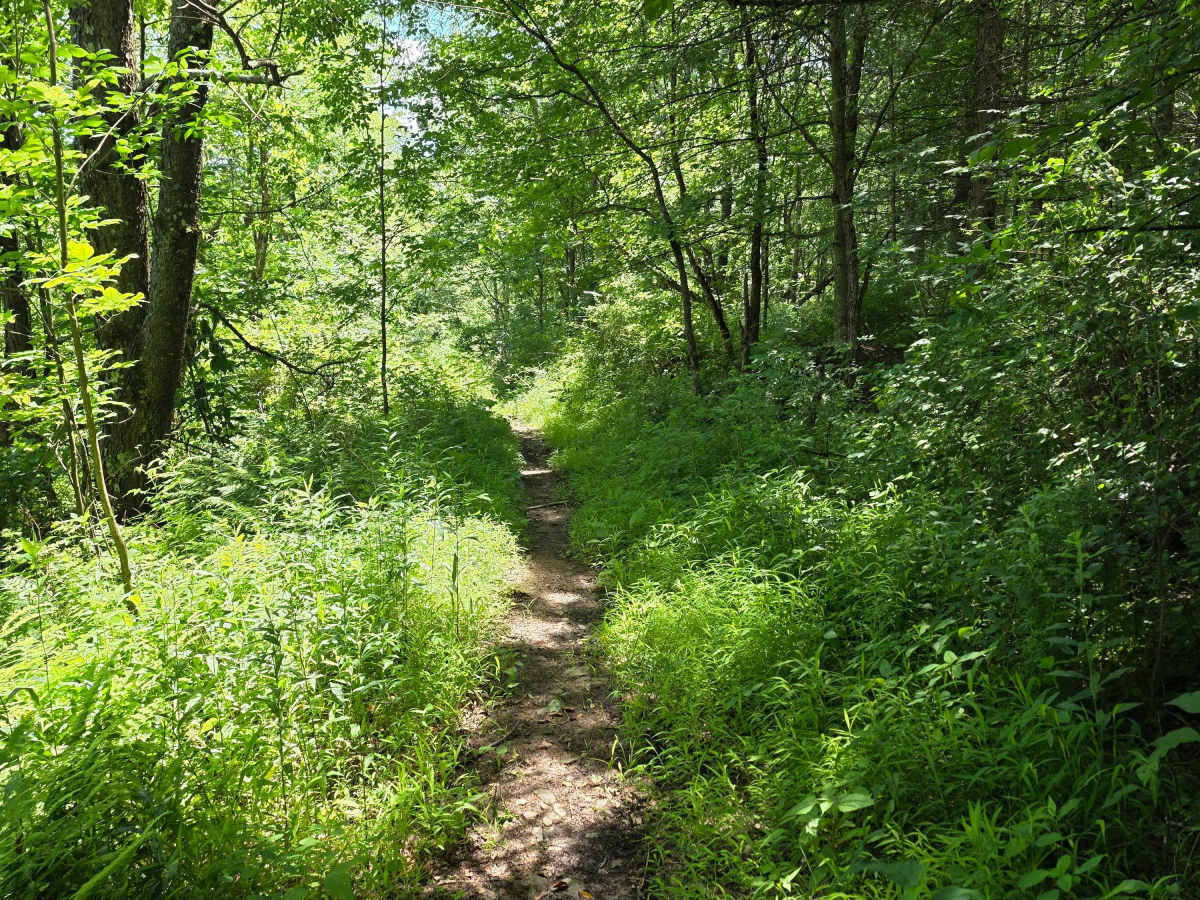 Single Track GG photo 4