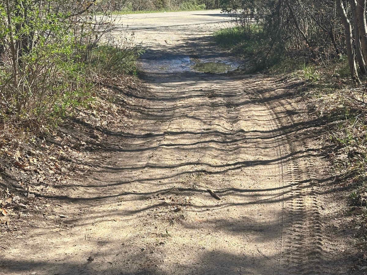 West May Lake Loop trail photo