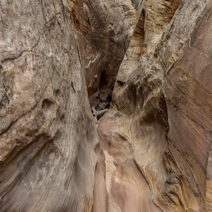 Near Cottonwood Wash