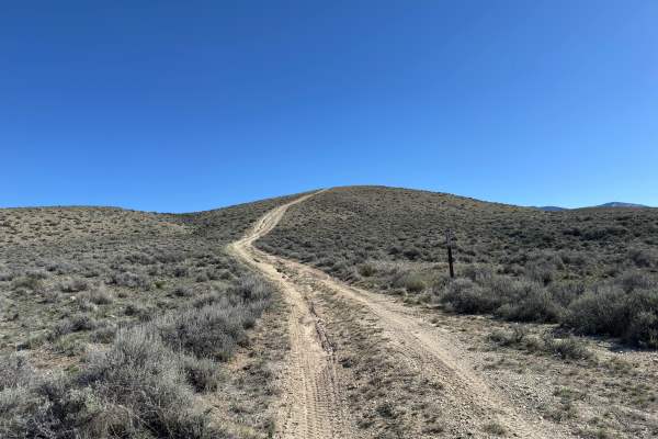 BLM 124