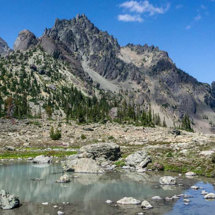 Near Royal Basin Trail