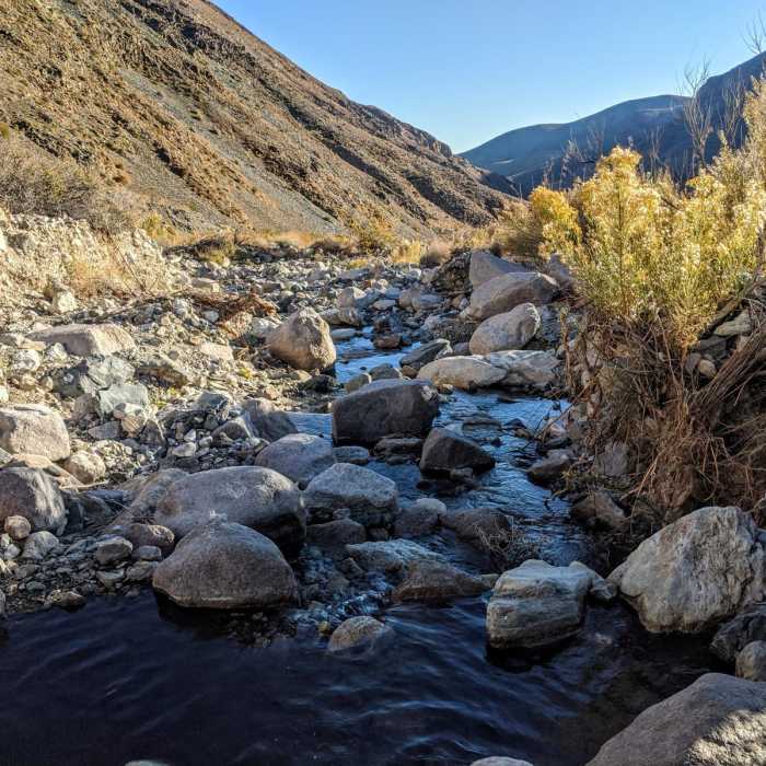 Near Hanaupah Canyon