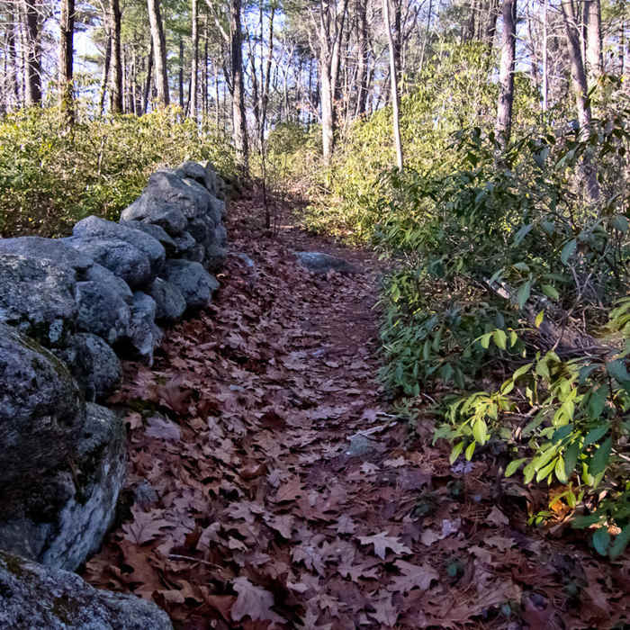 Near Rattlesnake Hill Trail
