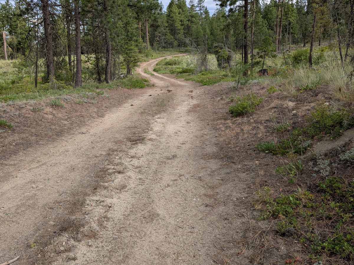 FS 4100-705 trail photo