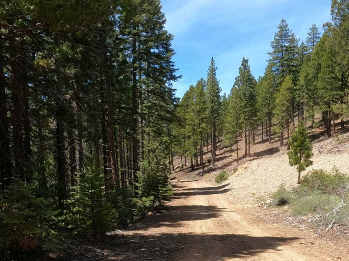 Bonta Creek - NF23N33 trail photo