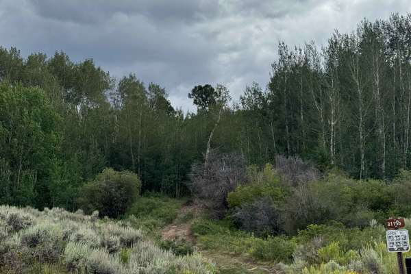 Mill Creek Ski Trail Road