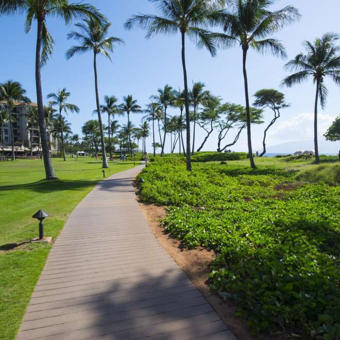 Near Ka'anapali Beachwalk Near Ka'anapali Beachwalk
