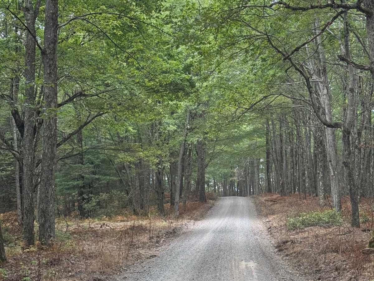 Montour Road photo 4