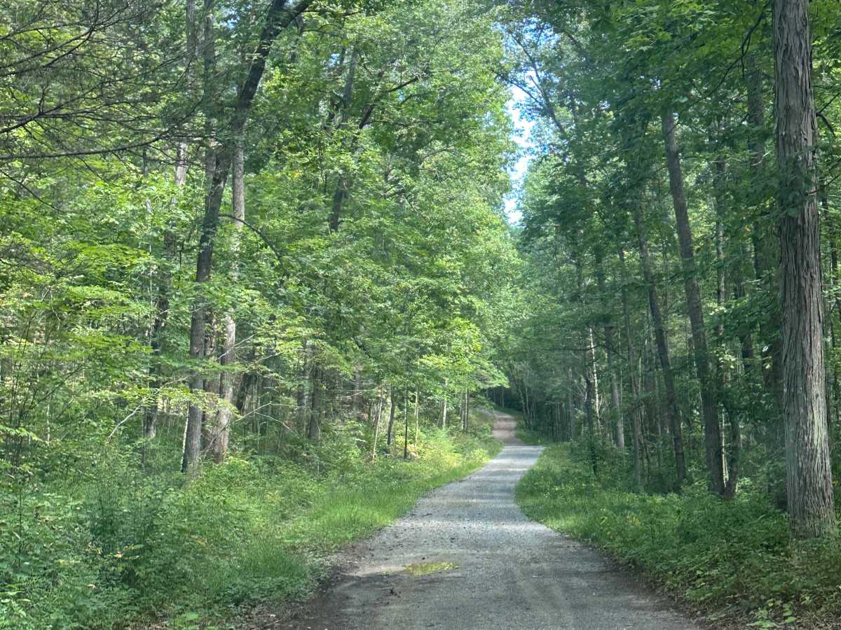 Dolly Anne North trail photo