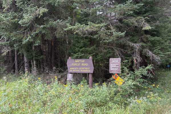 Waptus Forest Road