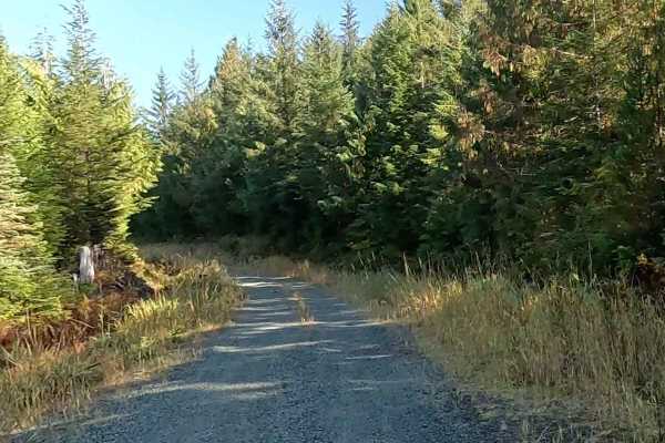 Echo Spur Road - FS 3015600