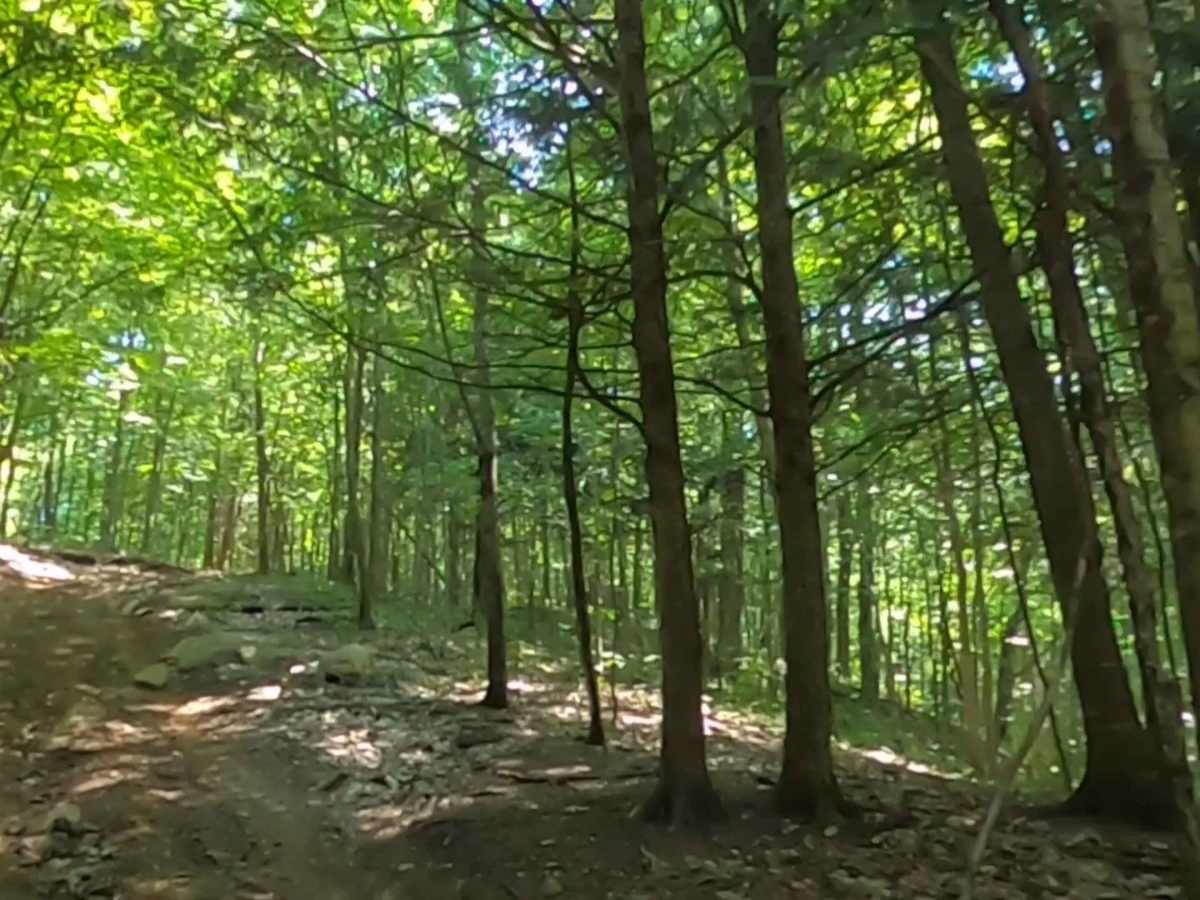 Adirondack ATV Riders Club photo 4