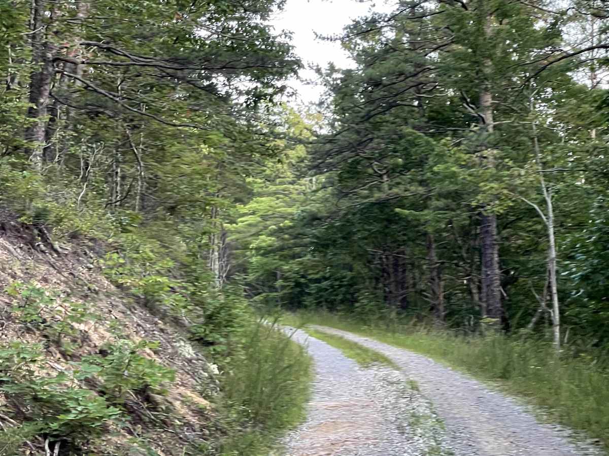 Kelley Hollow photo 4