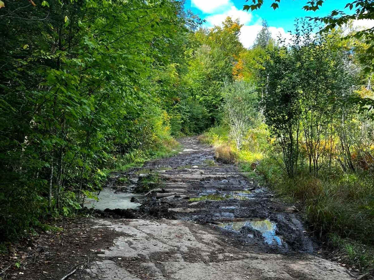 Oxbow trail photo