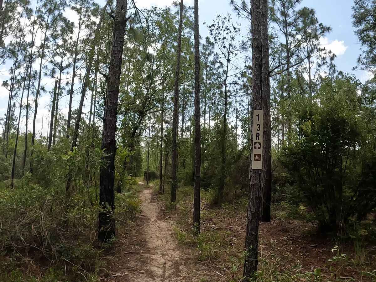 FS 13R  trail photo