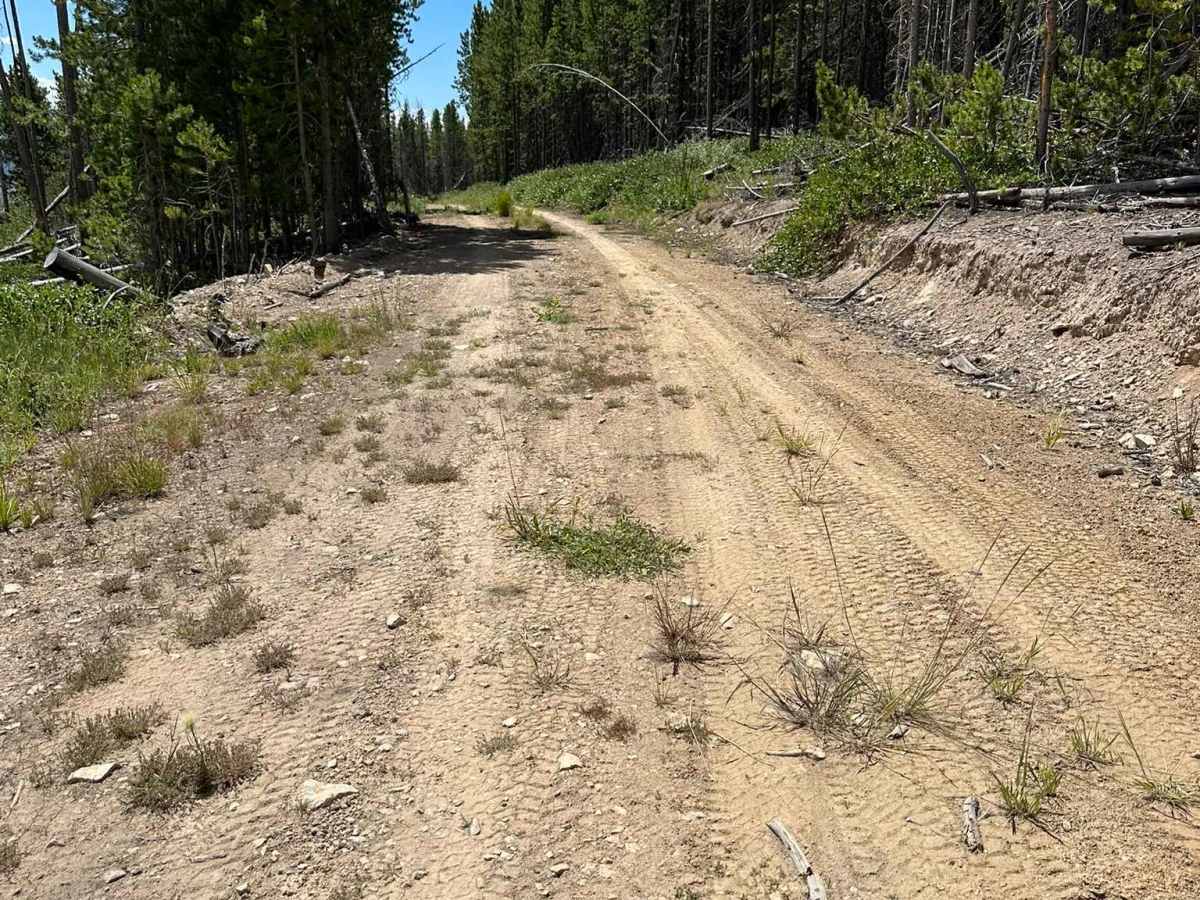 BLM 2762 photo 5