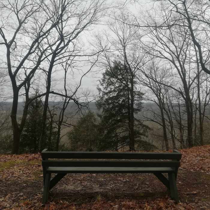 Near Yellowwood Trail